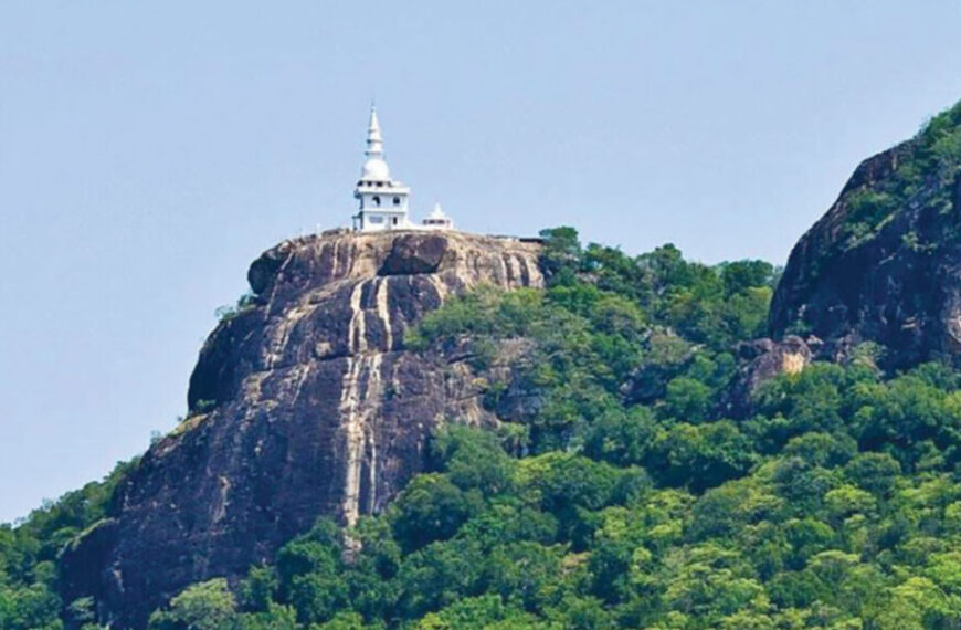 අතිශය දුර්ලභ ශිලා ලේඛනයක් පොළොන්නරුවෙන් හමු වේ