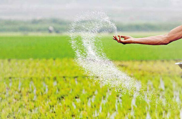 පොහොර ගන්න රුපියල් 15,000 ක් ගොවීන්ගේ ගිණුමට