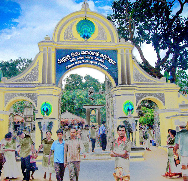 කතරගම පූජා වට්ටි වල පලතුරු මිනිස් ආහාරයට සුදුසු නැහැ