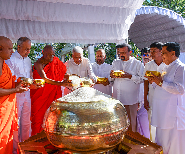 අලුත් සහල් මංගල්‍යය